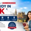 study uk consultancy